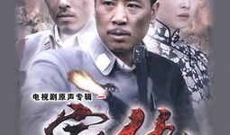 家仇电视剧,家族恩怨的悲歌