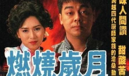 电视剧燃烧,命运交织的火焰