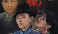 家仇电视剧,家族恩怨的悲歌