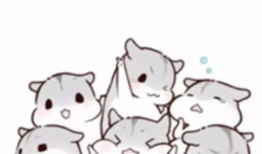 仓鼠仓库漫画,欢乐逗趣的仓鼠日常